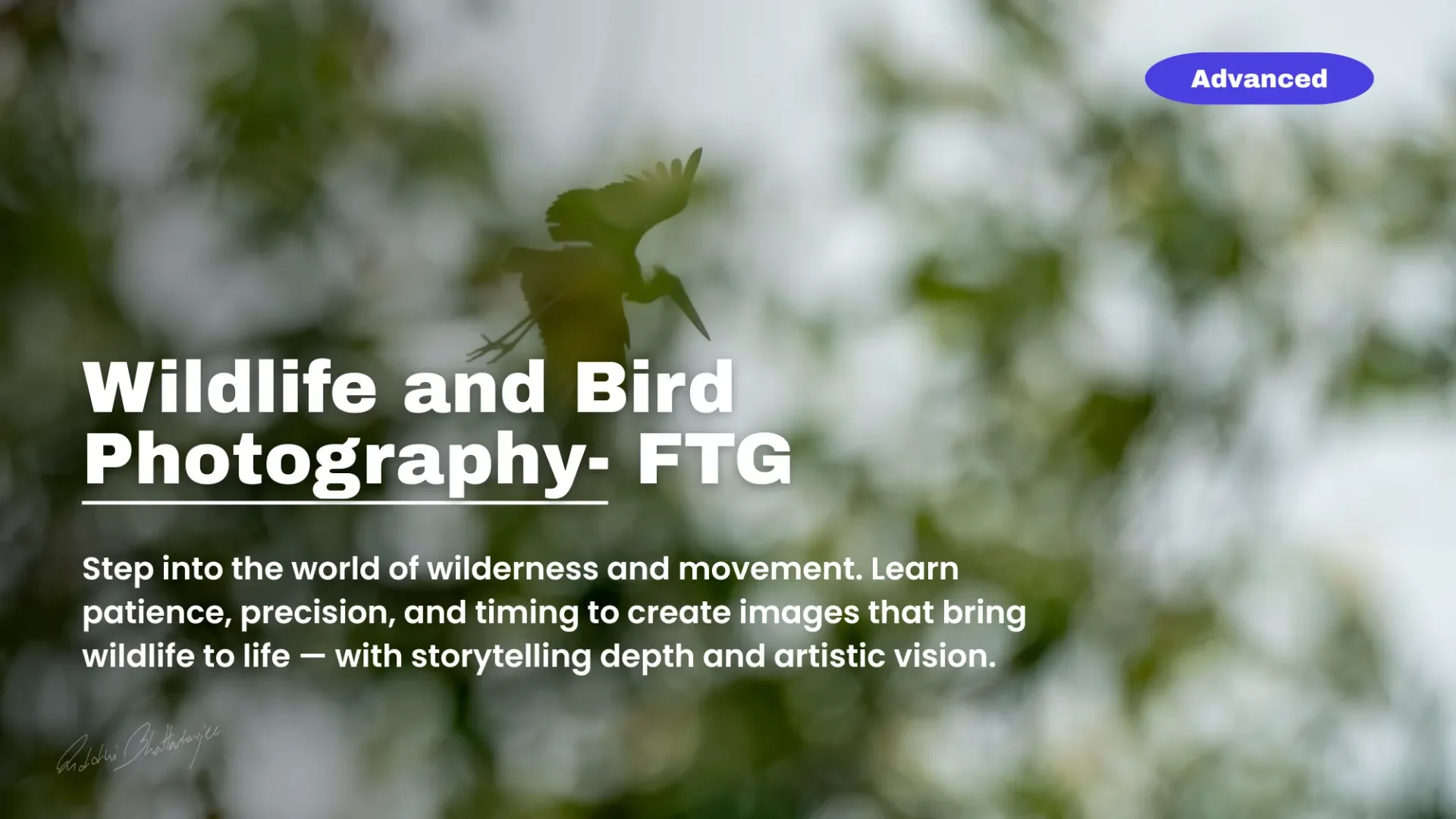 Master class in Wildlife and bird Photography (FTG)